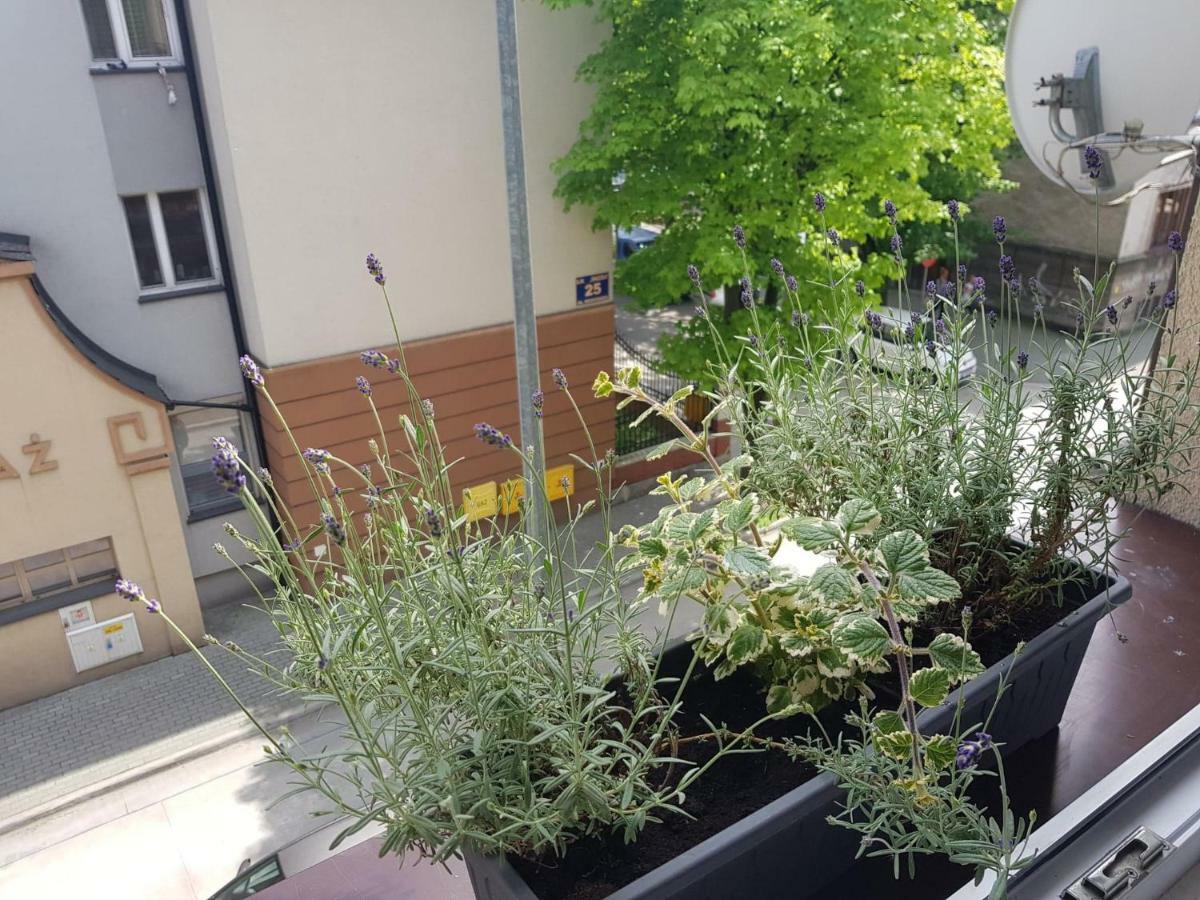Przytulna I Przestrzenna Garsoniera- Centrum Tarnów Esterno foto